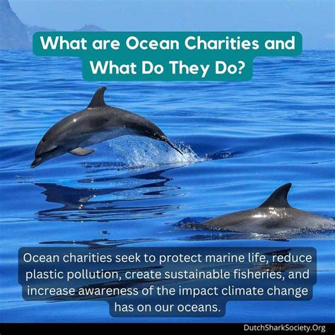 best ocean charities